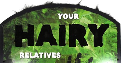 Lot 126 - FORMER BRISTOL ZOO GARDENS - YOUR HAIRY RELATIVES - INTERACTIVE ZOO SIGN