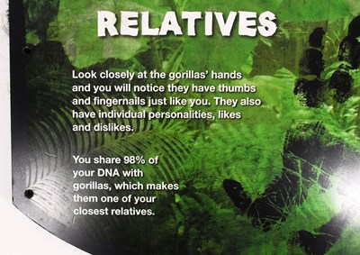 Lot 126 - FORMER BRISTOL ZOO GARDENS - YOUR HAIRY RELATIVES - INTERACTIVE ZOO SIGN