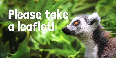 Lot 146 - FORMER BRISTOL ZOO GARDENS - LEMUR LEAFLET DISPLAY SIGN