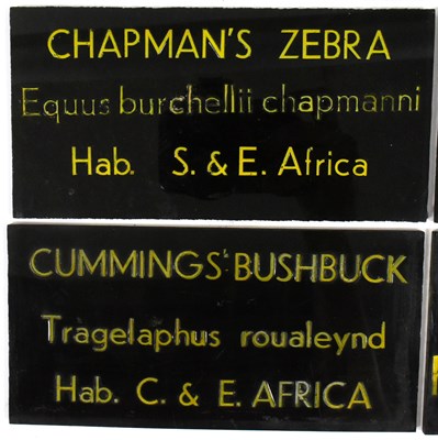 Lot 151 - FORMER BRISTOL ZOO GARDENS - VINTAGE ANIMAL ENCLOSURE PLAQUES
