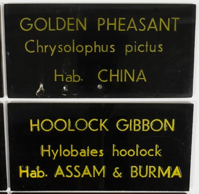 Lot 151 - FORMER BRISTOL ZOO GARDENS - VINTAGE ANIMAL ENCLOSURE PLAQUES