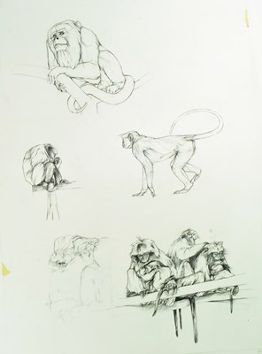 Lot 166 - FORMER BRISTOL ZOO GARDENS - ZOO ANIMAL ARTWORK