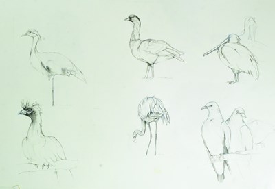 Lot 166 - FORMER BRISTOL ZOO GARDENS - ZOO ANIMAL ARTWORK