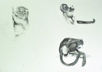 Lot 166 - FORMER BRISTOL ZOO GARDENS - ZOO ANIMAL ARTWORK