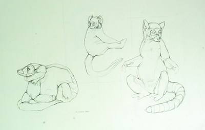 Lot 166 - FORMER BRISTOL ZOO GARDENS - ZOO ANIMAL ARTWORK