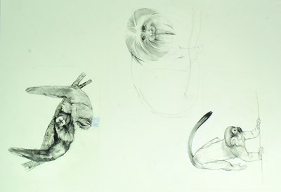 Lot 166 - FORMER BRISTOL ZOO GARDENS - ZOO ANIMAL ARTWORK
