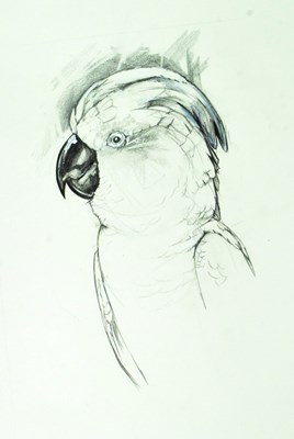 Lot 166 - FORMER BRISTOL ZOO GARDENS - ZOO ANIMAL ARTWORK