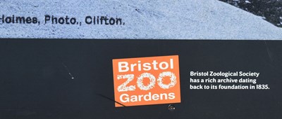 Lot 178 - FORMER BRISTOL ZOO GARDENS - CARNIVAL BRIDGE AT BRISTOL ZOO PHOTO