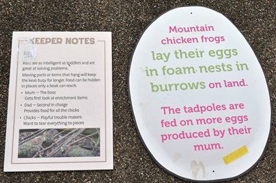 Lot 186 - FORMER BRISTOL ZOO GARDENS - COLLECTION OF ASSORTED SIGNS