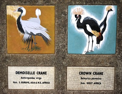 Lot 195 - FORMER BRISTOL ZOO GARDENS - WADING BIRDS ENCLOSURE CONCRETE TILED SIGN