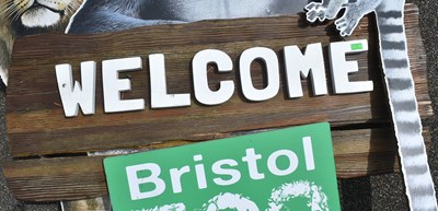 Lot 200 - FORMER BRISTOL ZOO GARDENS - WELCOME TO BRISTOL ZOO SIGN