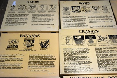 Lot 208 - FORMBER BRISTOL ZOO GARDENS - FLOWERS, PLANTS AND HERBS - ORIGINAL SIGNS
