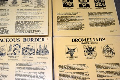 Lot 208 - FORMBER BRISTOL ZOO GARDENS - FLOWERS, PLANTS AND HERBS - ORIGINAL SIGNS