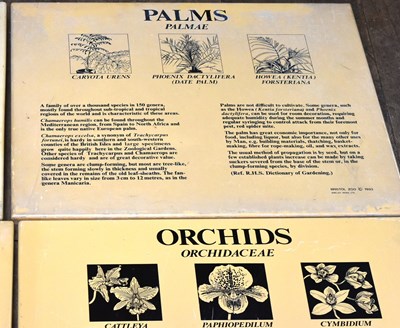 Lot 208 - FORMBER BRISTOL ZOO GARDENS - FLOWERS, PLANTS AND HERBS - ORIGINAL SIGNS