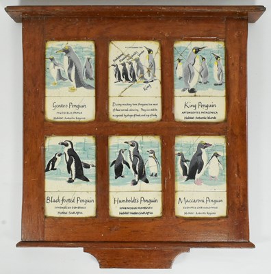 Lot 210 - FORMER BRISTOL ZOO GARDENS - PENGUIN TILES FROM PENGUIN ENCLOSURE