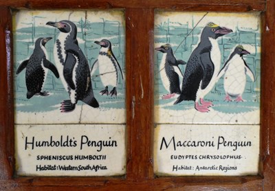 Lot 210 - FORMER BRISTOL ZOO GARDENS - PENGUIN TILES FROM PENGUIN ENCLOSURE