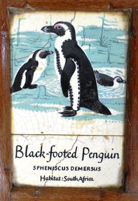 Lot 210 - FORMER BRISTOL ZOO GARDENS - PENGUIN TILES FROM PENGUIN ENCLOSURE