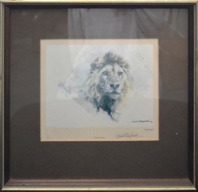 Lot 222 - FORMER BRISTOL ZOO GARDENS - DAVID SHEPHERD (1931-2017) - LION'S HEAD - SIGNED PRINT