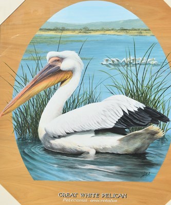 Lot 228 - FORMER BRISTOL ZOO GARDENS - 'GREAT WHITE PELICAN' - SUSAN JANE 1998 - PAINTING
