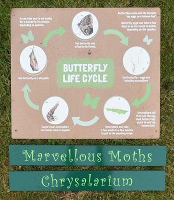 Lot 235 - FORMER BRISTOL ZOO GARDENS - ORIGINAL BUTTERFLY FOREST SIGNS