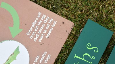 Lot 235 - FORMER BRISTOL ZOO GARDENS - ORIGINAL BUTTERFLY FOREST SIGNS