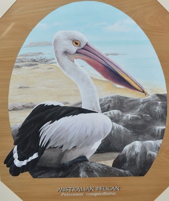 Lot 238 - FORMER BRISTOL ZOO GARDENS - 'AUSTRALIAN PELICAN' - SUSAN JANE 1998 - PAINTING