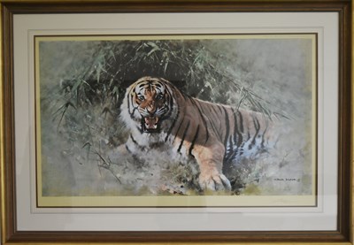 Lot 247 - FORMER BRISTOL ZOO GARDENS - DAVID SHEPHERD (1931-2017) - TIGER FIRE - SIGNED PRINT