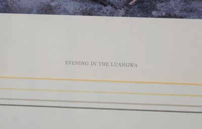 Lot 254 - FORMER BRISTOL ZOO GARDENS - DAVID SHEPHERD (1931-2017) - EVENING IN THE LUANGWA