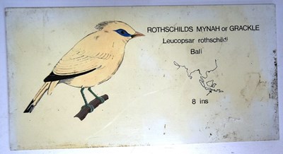 Lot 255 - FORMER BRISTOL ZOO GARDENS - VINTAGE ANIMAL ENCLOSURE PLAQUES