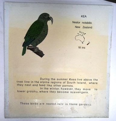 Lot 255 - FORMER BRISTOL ZOO GARDENS - VINTAGE ANIMAL ENCLOSURE PLAQUES