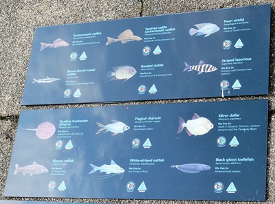 Lot 265 - FORMER BRISTOL ZOO GARDENS - ORIGINAL AQUARIUM SIGNS