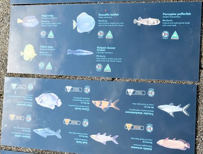Lot 265 - FORMER BRISTOL ZOO GARDENS - ORIGINAL AQUARIUM SIGNS