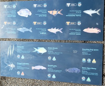 Lot 265 - FORMER BRISTOL ZOO GARDENS - ORIGINAL AQUARIUM SIGNS