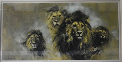 Lot 267 - FORMER BRISTOL ZOO GARDENS - DAVID SHEPHERD (1931-2017) - LIONS - PRINT