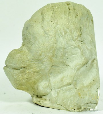 Lot 272 - FORMER BRISTOL ZOO GARDENS - ANN THE ORANGUTAN DEATH MASK