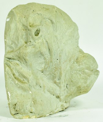 Lot 272 - FORMER BRISTOL ZOO GARDENS - ANN THE ORANGUTAN DEATH MASK