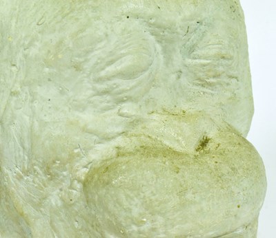 Lot 272 - FORMER BRISTOL ZOO GARDENS - ANN THE ORANGUTAN DEATH MASK