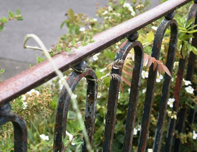 Lot 276 - FORMER BRISTOL ZOO GARDENS - VICTORIAN RAILINGS FROM ALONGSIDE THE BEAR PIT