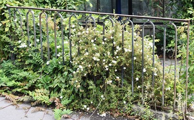 Lot 276 - FORMER BRISTOL ZOO GARDENS - VICTORIAN RAILINGS FROM ALONGSIDE THE BEAR PIT
