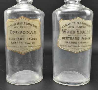 Lot 73 - PAIR OF FRENCH 19TH CENTURY APOTHECARY PERFUME EXTRACT GLASS BOTTLES