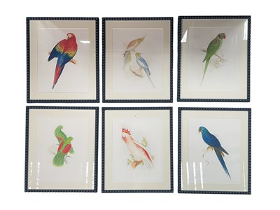 Lot 109 - SERIES OF SIX MODERN INTERIOR DESIGNER PRINTS OF TROPICAL BIRDS