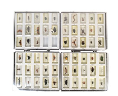 Lot 586 - REAL LIFE BUGS - NATIONAL GEOGRAPHIC RESIN BUGS & SUBSCRIPTION MAGAZINES
