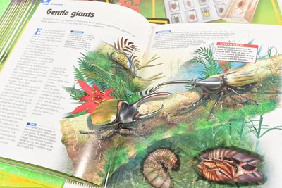 Lot 586 - REAL LIFE BUGS - NATIONAL GEOGRAPHIC RESIN BUGS & SUBSCRIPTION MAGAZINES