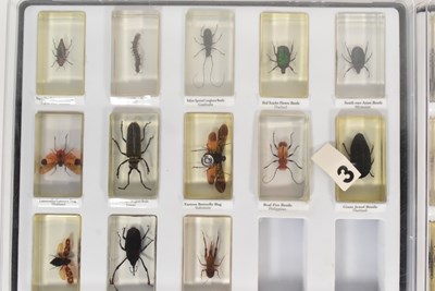 Lot 586 - REAL LIFE BUGS - NATIONAL GEOGRAPHIC RESIN BUGS & SUBSCRIPTION MAGAZINES