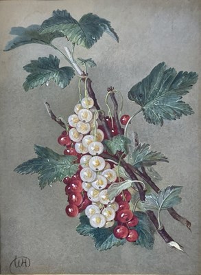 Lot 517 - W H DAVIS - 19TH CENTURY GOUACHE & WATERCOLOUR STILL LIFE PAINTING