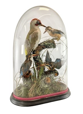 Lot 130 - TAXIDERMY INTEREST - VICTORIAN DISPLAY OF KINGFISHER & WOODPECKER IN GLASS DOME