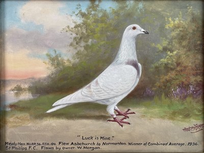 Lot 269 - ANDREW BEER (1862-1954) - LUCK IS MINE - OIL ON CANVAS RACING PIGEON PAINTING