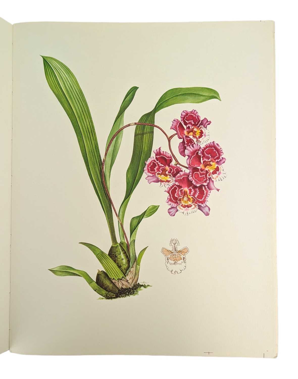 Lot 87 - HUNT, P. FRANCIS - 1973 ORCHIDACEAE, SIGNED LIMITED EDITION, COLOUR PLATES, SCARCE UNBOUND COPY