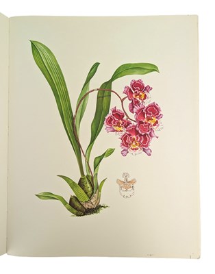 Lot 87 - HUNT, P. FRANCIS - 1973 ORCHIDACEAE, SIGNED LIMITED EDITION, COLOUR PLATES, SCARCE UNBOUND COPY