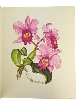 Lot 87 - HUNT, P. FRANCIS - 1973 ORCHIDACEAE, SIGNED LIMITED EDITION, COLOUR PLATES, SCARCE UNBOUND COPY